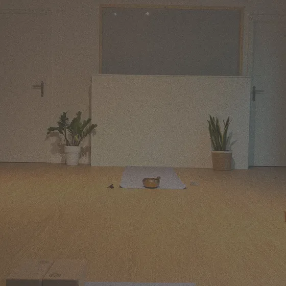 Anusara & Hatha Yoga yoga class in Genève